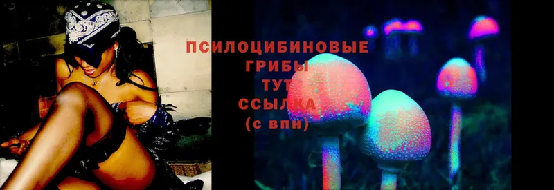 Галлюциногенные грибы Magic Shrooms  Каменногорск 