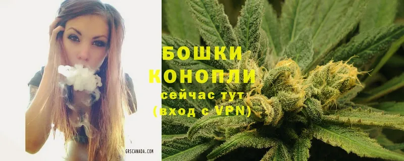 Канабис SATIVA & INDICA  Каменногорск 